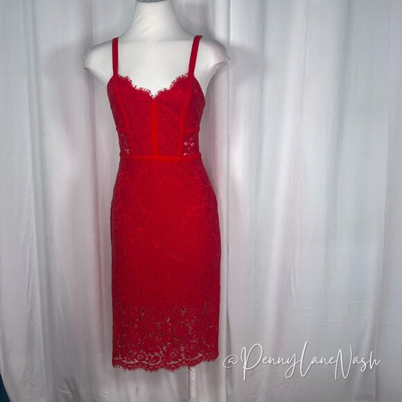 Express Red Piped Lace Midi Sheath Dress - Picture 3 of 16